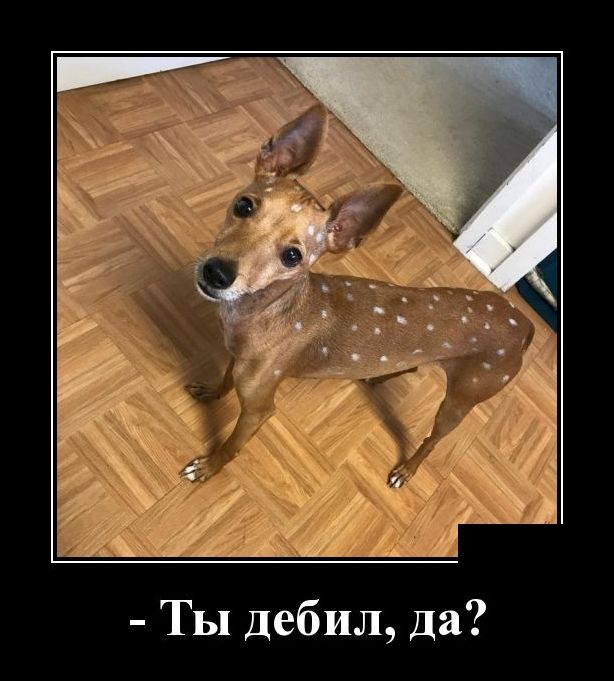 Новые демотиваторы 11 мая 2019 (22 фото)