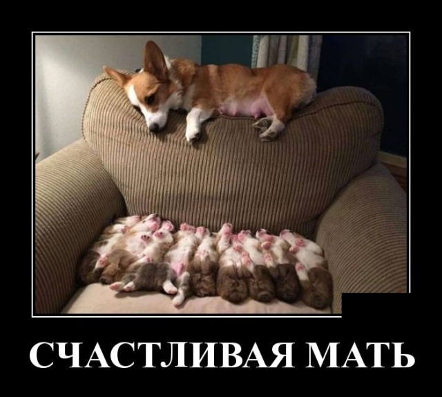 Свежие демотиваторы мая 2019 (30 демок)