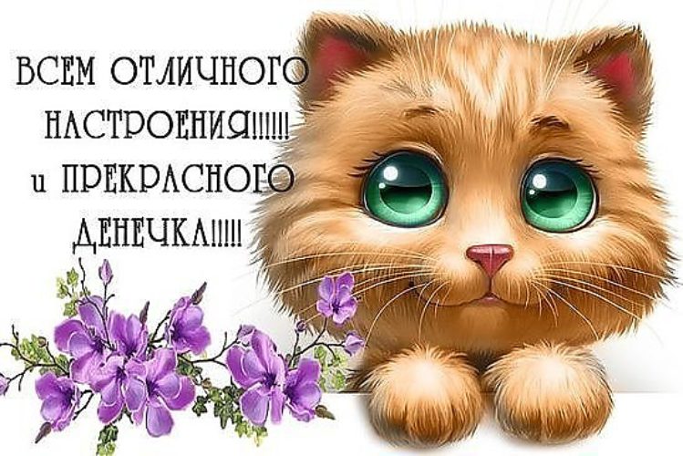 Картинки для поднятия настроения с надписями Картинки для поднятия настроения с надписями