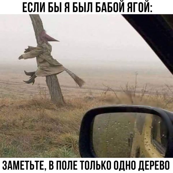 Свежие мемы и прикольные картинки с надписями (20 картинок)