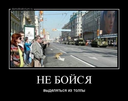 Картинки для поднятия настроения с надписями Картинки для поднятия настроения с надписями