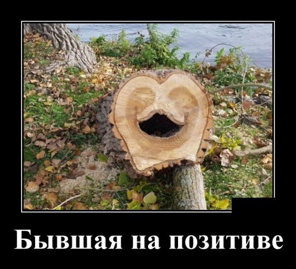 Самые прикольные демки 2019 года (30 демотиваторов)