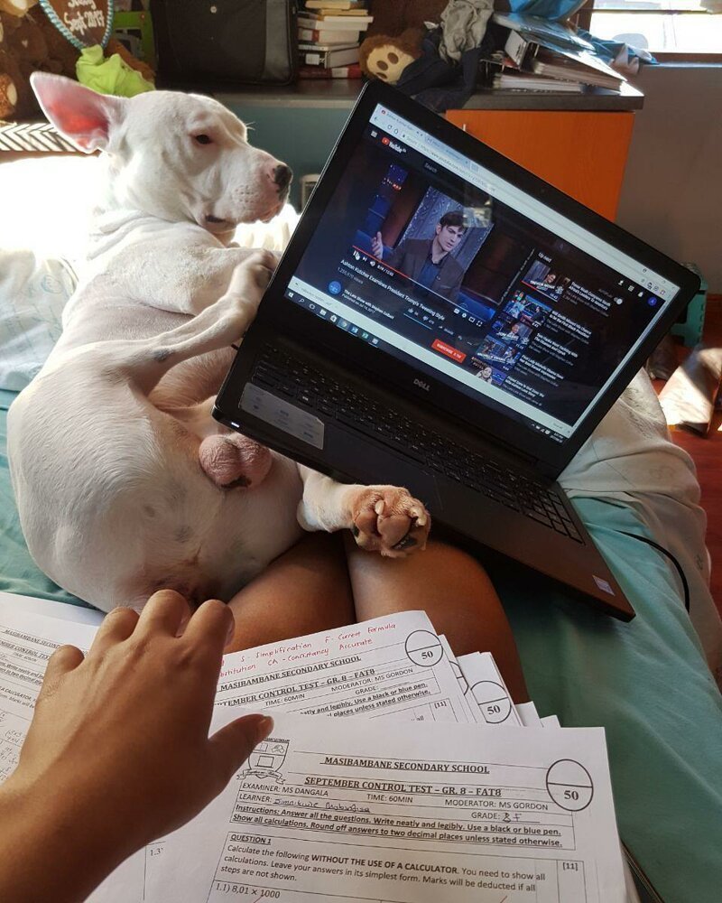 20 забавных кадров из серии "За секунду до", сделанных за мгновение до неизбежного (21 фото) 20 забавных кадров из серии "За секунду до", сделанных за мгновение до неизбежного (21 фото)