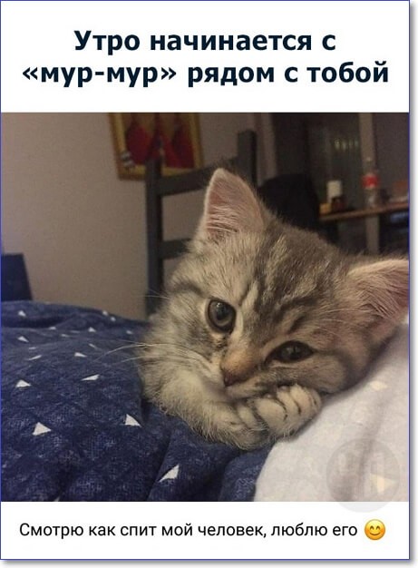 Смешные фото