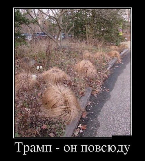 Самые прикольные демки 2019 года (30 демотиваторов)