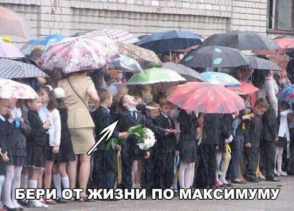 Картинки для поднятия настроения с надписями Картинки для поднятия настроения с надписями