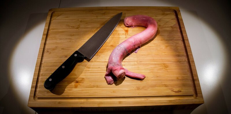 Музей отвратительной еды выставляет экзотические деликатесы (13 фото) Музей отвратительной еды выставляет экзотические деликатесы (13 фото)