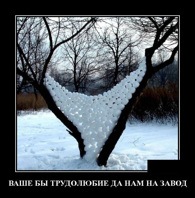 Свежие демотиваторы на праздники Свежие демотиваторы на праздники