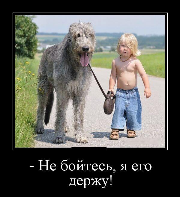 Прикольные демотиваторы (20 штук)