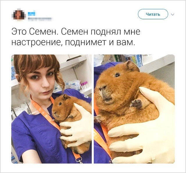 Юморески и забавные истории рабочих будней (17 фото) Юморески и забавные истории рабочих будней (17 фото)