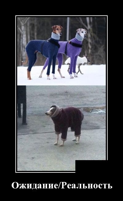 Свежие демотиваторы на праздники Свежие демотиваторы на праздники