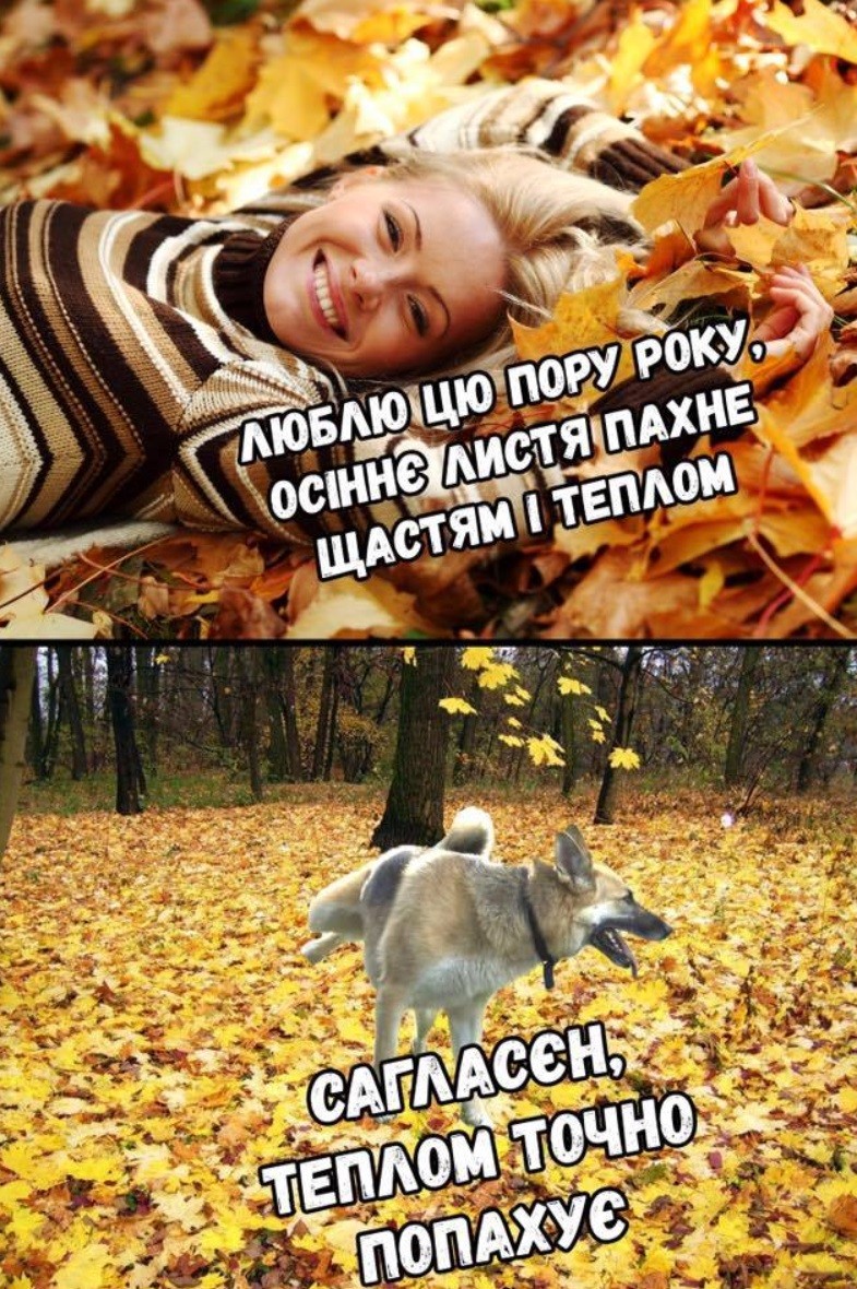 Прикольные картинки