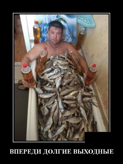 Новые демотиваторы 11 мая 2019 (22 фото)