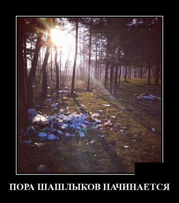 Новые демотиваторы 11 мая 2019 (22 фото)