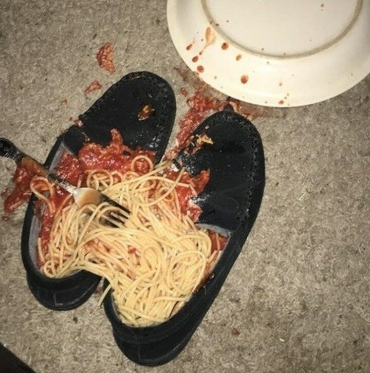 20 человек, которых настиг худший день в их жизни (21 фото)