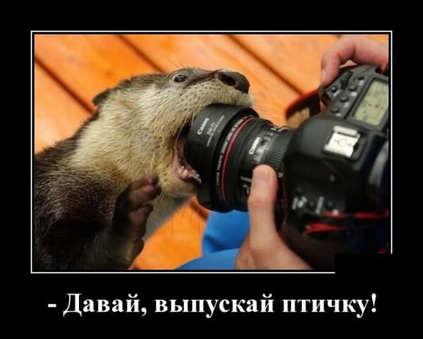 Новые смешные демотиваторы (30 демок)