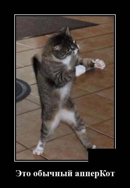 Свежие демотиваторы на праздники Свежие демотиваторы на праздники