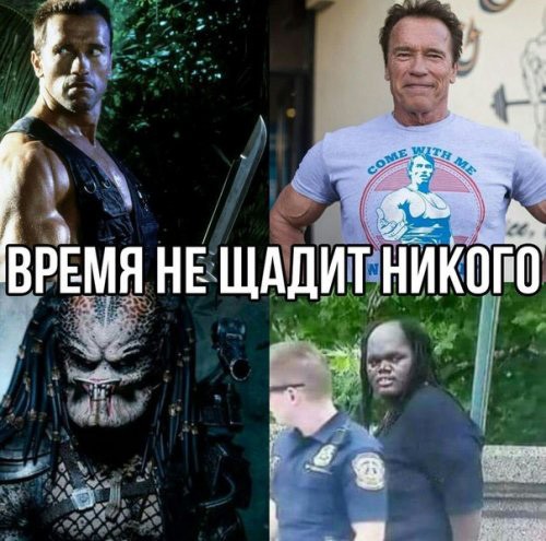 Картинки для поднятия настроения с надписями Картинки для поднятия настроения с надписями