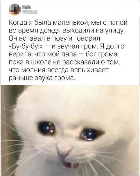 Смешные комментарии из социальных сетей (20 картинок)