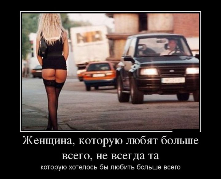 кого любят больше всего?