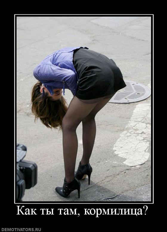 как ты там, кормилица?
