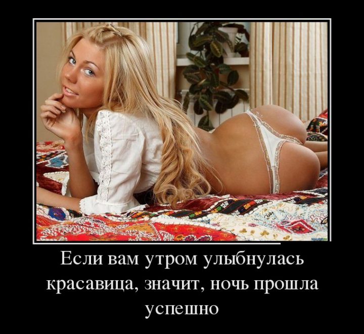 если на утро вам улыбнулась красавица, значит, ночь прошла успешно