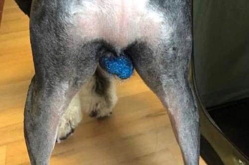 20 реальных модных трендов, из-за которых можно угодить в психушку (21 фото) 20 реальных модных трендов, из-за которых можно угодить в психушку (21 фото)