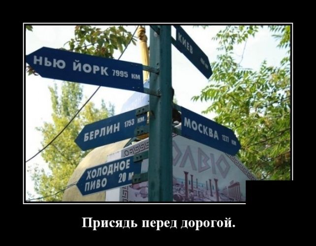 Новые демотиваторы 11 мая 2019 (22 фото)