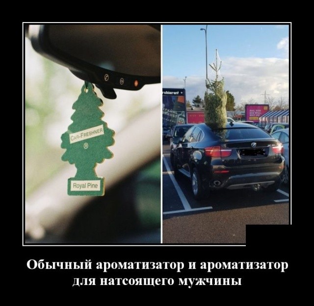 Демотиваторы мая 2019 года Демотиваторы мая 2019 года