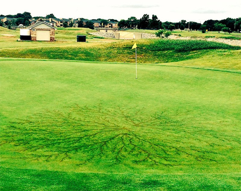 После разряда: что происходит с человеком, в которого ударила молния (16 фото) После разряда: что происходит с человеком, в которого ударила молния (16 фото)