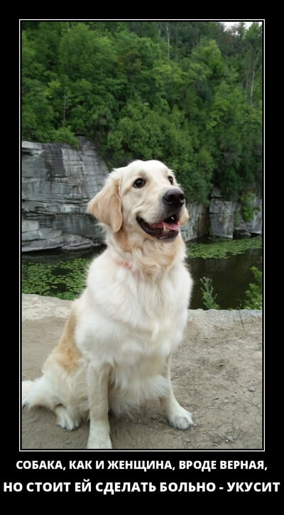 Новые смешные демотиваторы (30 демок)