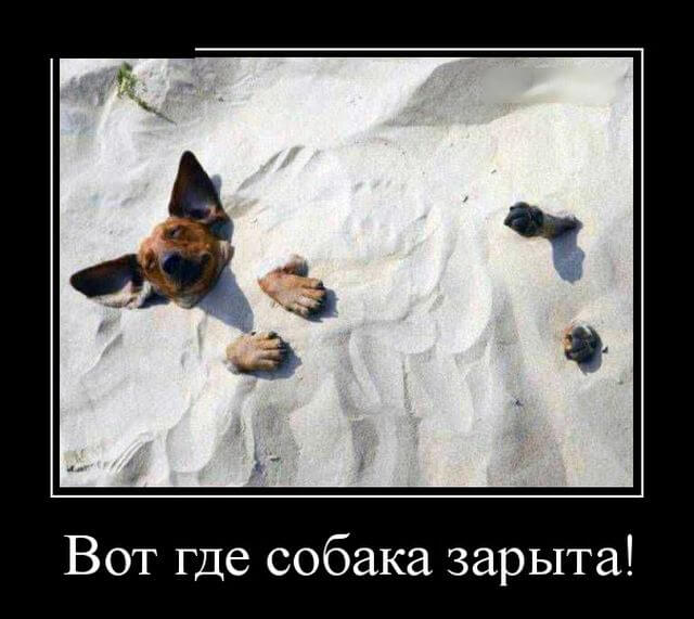 Прикольные демотиваторы на любой вкус (20 фото) Прикольные демотиваторы на любой вкус (20 фото)