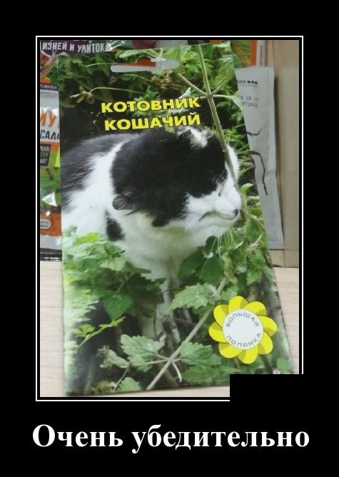 Свежие демотиваторы на праздники Свежие демотиваторы на праздники