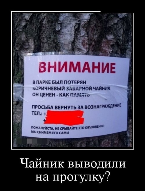 Самые прикольные демки 2019 года (30 демотиваторов)