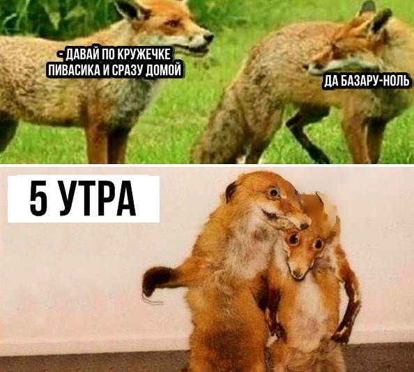 Свежие мемы и прикольные картинки с надписями (20 картинок)