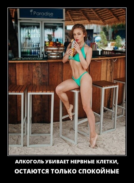 Новые смешные демотиваторы (30 демок)