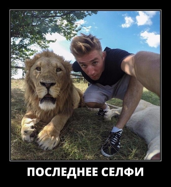 Классные демотиваторы мая (30 демок)