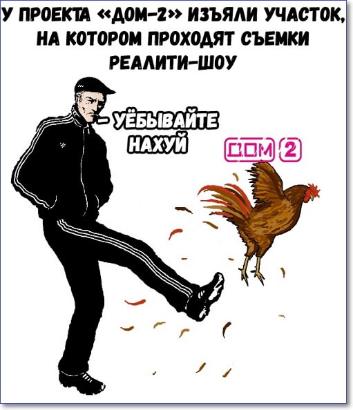 Смешные фото