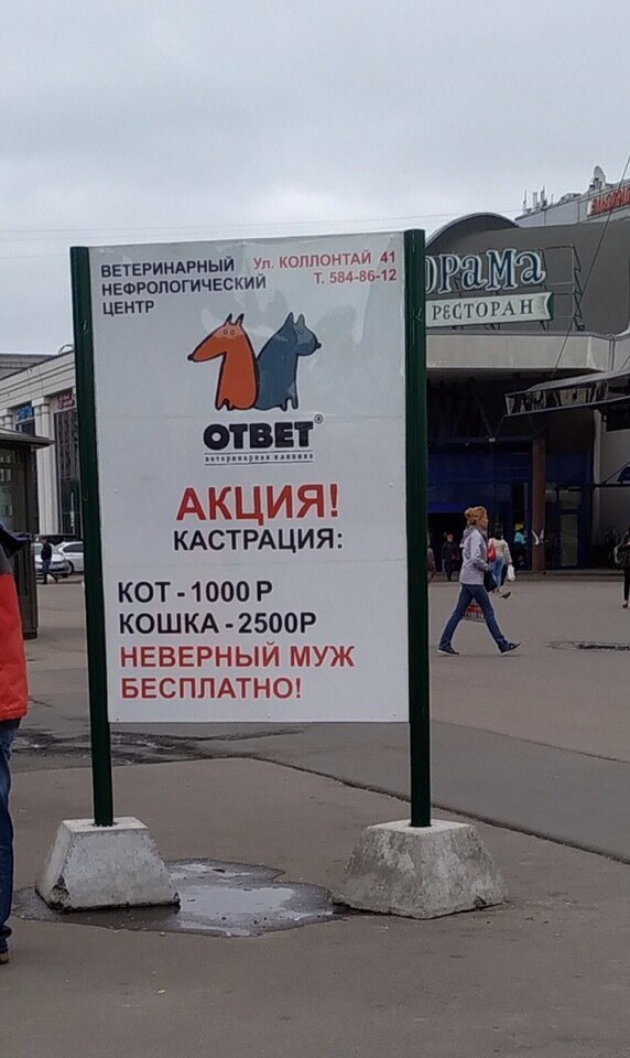 Заманчивая акция: петербургская ветклиника предложила бесплатно кастрировать мужей-изменников (2 фото) Заманчивая акция: петербургская ветклиника предложила бесплатно кастрировать мужей-изменников (2 фото)