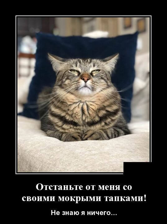 Прикольные демотиваторы (20 штук)