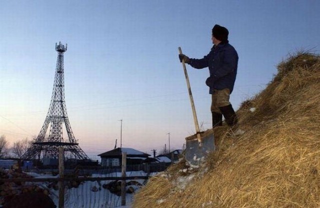 Прикольные картинки