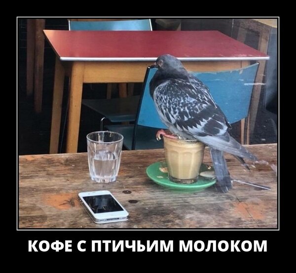 Классные демотиваторы мая (30 демок)