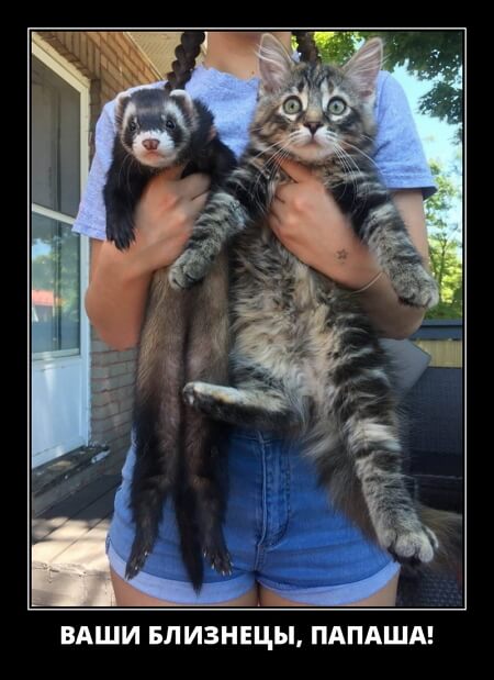 Классные демотиваторы мая (30 демок)