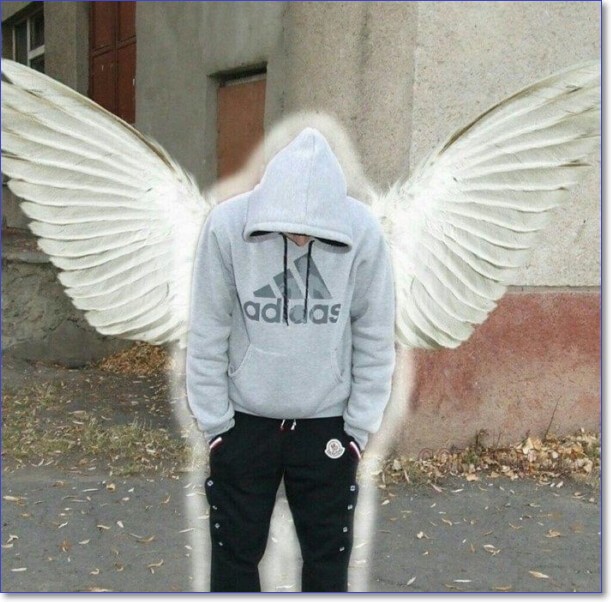 Смешные фото