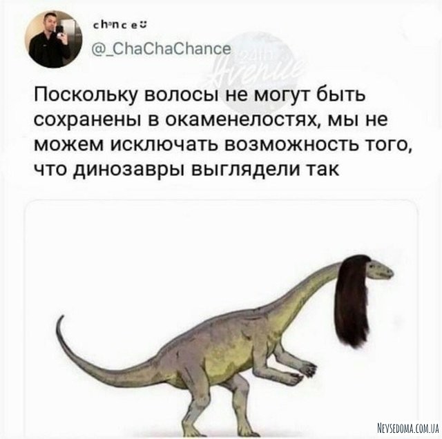 Юмор и комментарии из социальных сетей (20 фото)