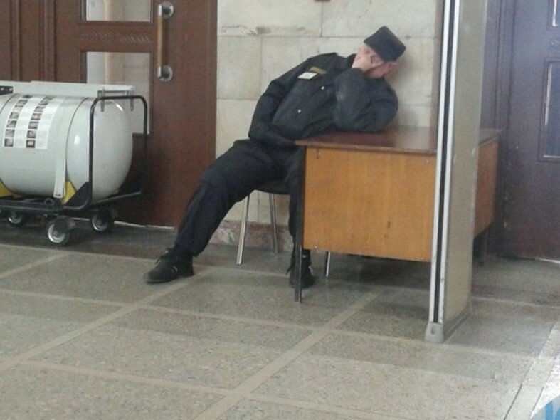 Нет, им ничуть не стыдно (21 фото + 1 видео) Нет, им ничуть не стыдно (21 фото + 1 видео)