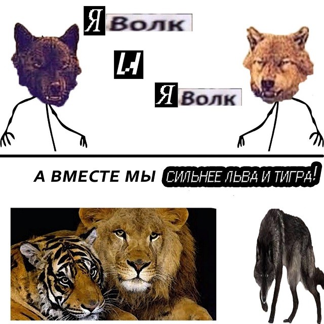 "Пацанская народная мудрость" и цитаты про волков (35 картинок) "Пацанская народная мудрость" и цитаты про волков (35 картинок)