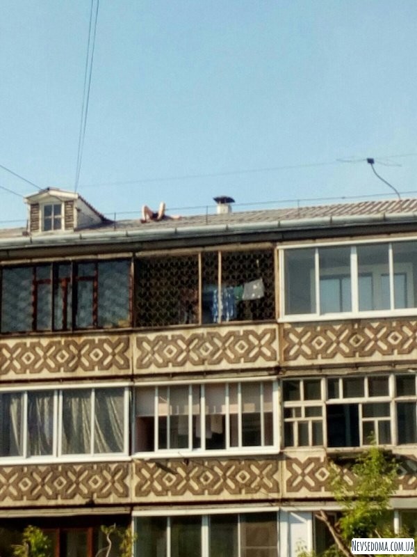 Житель Ангарска выбрал рискованный способ позагорать (5 фото) Житель Ангарска выбрал рискованный способ позагорать (5 фото)