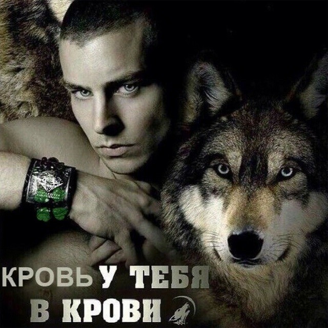 "Пацанская народная мудрость" и цитаты про волков (35 картинок) "Пацанская народная мудрость" и цитаты про волков (35 картинок)