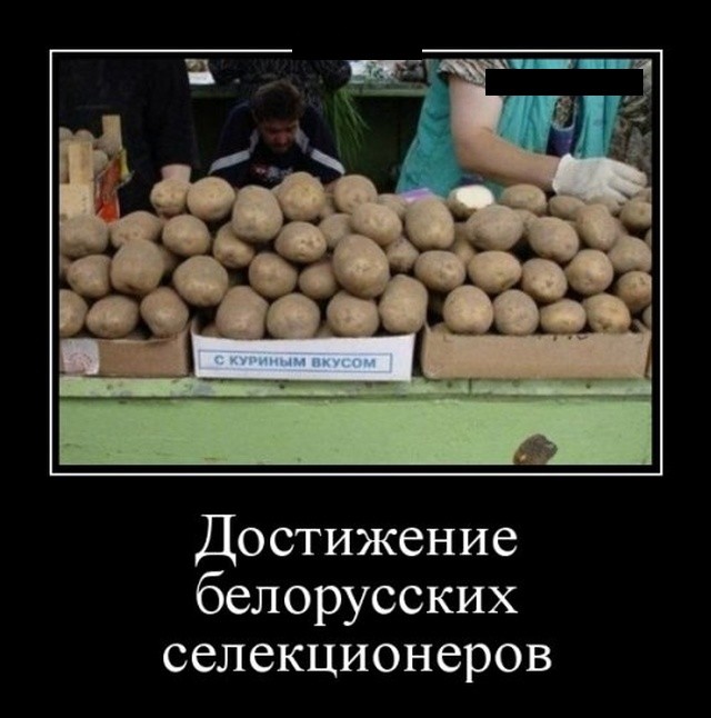 Смешные картинки-демотиваторы: 30 ржачных демок Смешные картинки-демотиваторы: 30 ржачных демок